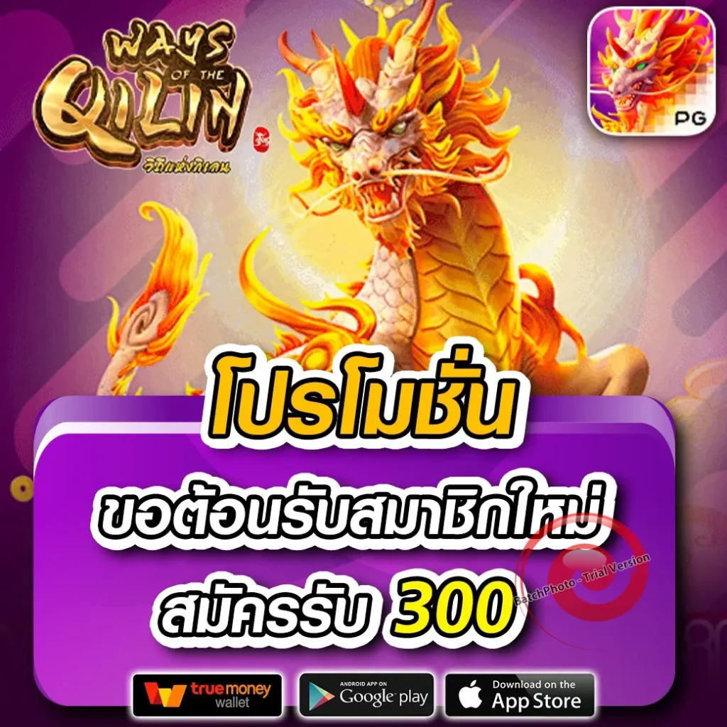 slot24 ออโต้